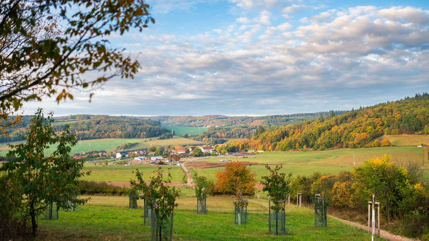 Jihomoravská obec Vohančice leží v suché krajině poblíž Brna, která trpěla vodní i větrnou erozí a úbytkem spodní vody. Ateliér Zahradní a krajinářská tvorba navrhl opatření, která to mají změnit: zatravnění 30 ha původních polí bohatými travinobylinnými směsmi, vytvoření 6 terénních valů s retenční schopností a výsadbu 1000 stromů kolem obnovených polních cest a do komunitních sadů. "Podobné zásahy mohou být příležitostí pro obnovu krajiny i pro rozvoj místní komunity," míní porota. 