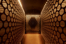 Lazy House, petrjanda/brainwork