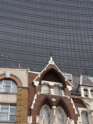 Okurka a spol. - foto