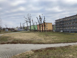 Nadace Proměny Karla Komárka vyhlašuje výzvu k obnově parku před Základní školou U Červených domků v Hodoníně