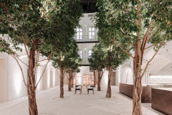 Fach, Ilja Skoček, Martin Skoček, Foto