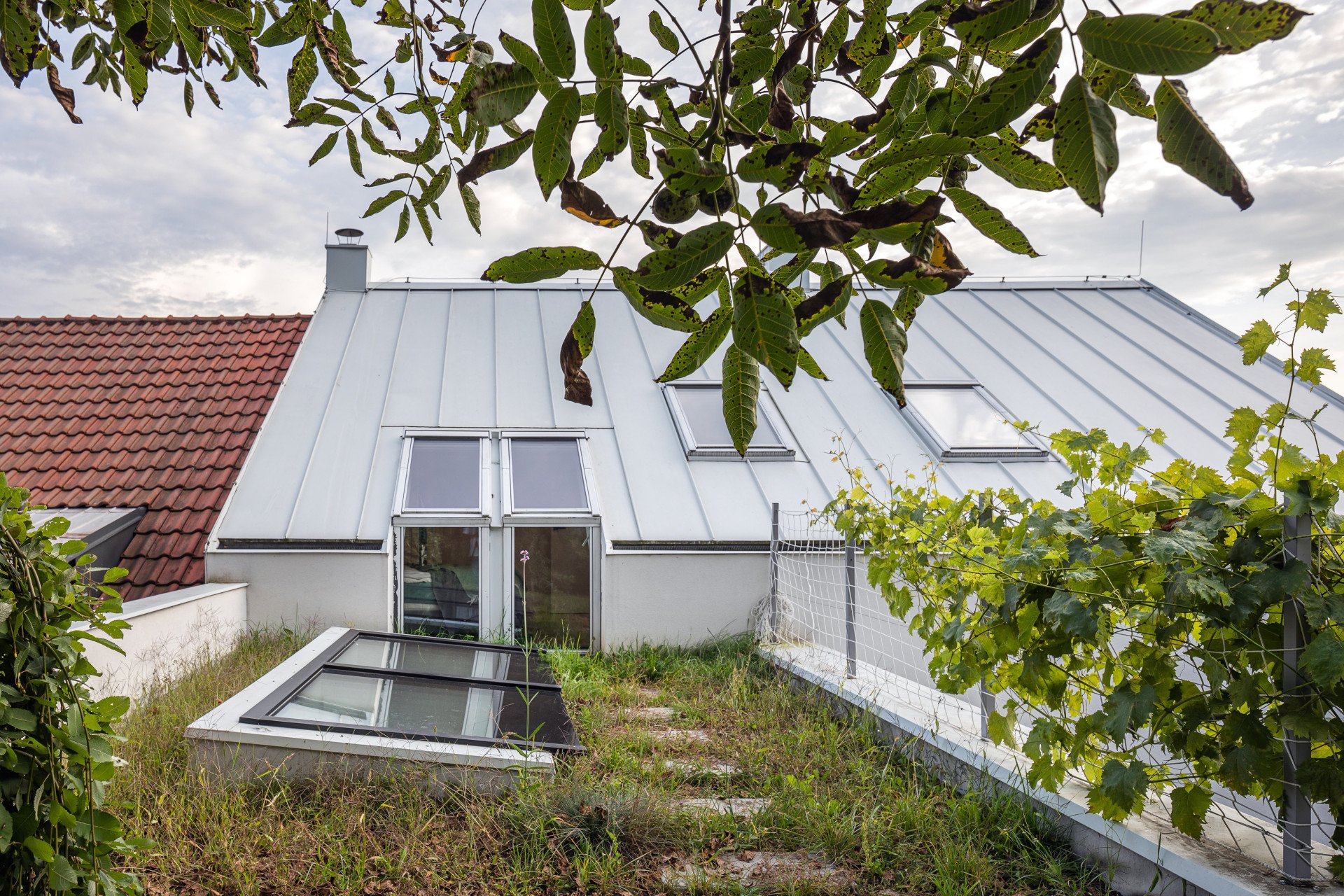Iveta Langerová architekti navrhli rekonstrukci pražského rodinného domu, který se otevírá zeleni
