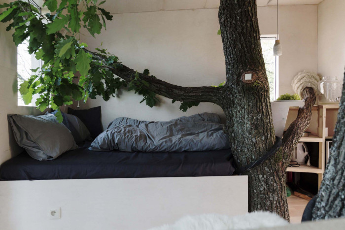 Tree-House DUBoDOM, ateliér StromDom