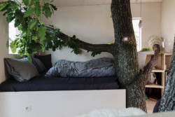 Tree-House DUBoDOM, ateliér StromDom