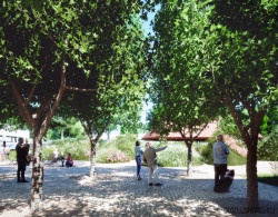 Pražské studio Olgoj Chorchoj začíná spolupracovat s teplickou botanickou zahradou na jejích úpravách