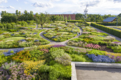 Piet Oudolf, Oudolf Garten on the Vitra Campus, Weil am Rhein, 2020