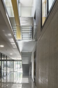 Pavilon rehabilitace Nemocnice Rudolfa a Stefanie Benešov, STA, projektový ateliér - foto