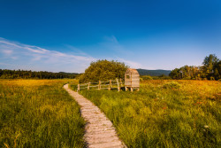 Naučná stezka Olšina od studia Reaktor