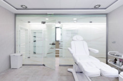 Celoskleněná stěna s bočním a horním nadsvětlíkem, materiál Grafosklo – imitace pískování, velikost 1,3 × 2,5 m / Celoskleněné stěna se světlíky a nadsvětlíky (4 fixy navazující na sebe), materiál Grafosklo – imitace pískování, velikost 5 x 2,5 m - foto