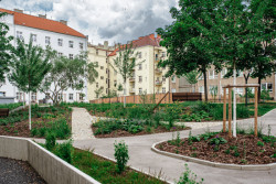 Nových stromů je celkem 14. Bylo třeba jim navrhnout dostatečně velký a správně tvarovaný prostor pro kořenění. (ateliér YYYY, park U Uranie)