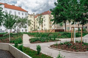 Nových stromů je celkem 14. Bylo třeba jim navrhnout dostatečně velký a správně tvarovaný prostor pro kořenění. (ateliér YYYY, park U Uranie)