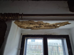 Zdivo a omítka, do které zatékalo. Lze citlivě opravit. 