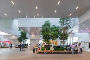 Lego House, Bjarke Ingels Group