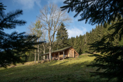 Pařezová chaloupka v Orlických horách od molo architekti