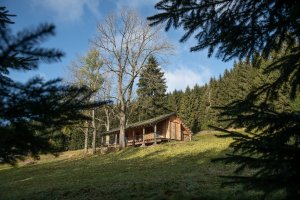Pařezová chaloupka v Orlických horách od molo architekti