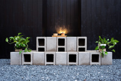 Rekonstrukce restaurační zahrady Hoja, Petr Danda