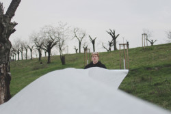 Landartová instalace Třešňovka, Tomáš Kodet.