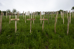 Hřbitov beze stínu, Petr Skřivánek.