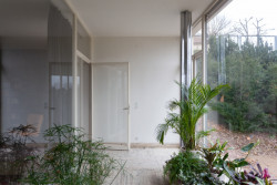 Vila Tugendhat v Brně od Miese van der Rohe na fotografiích Alexandry Timpau