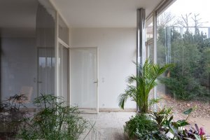 Vila Tugendhat v Brně od Miese van der Rohe na fotografiích Alexandry Timpau
