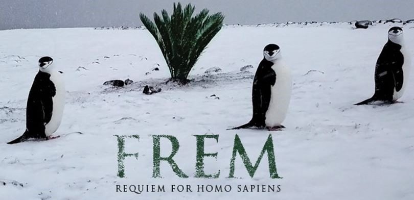 Frem, Tomáš Klein.