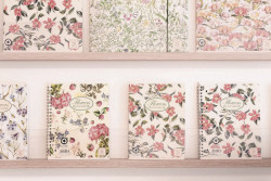 Edit!, Papírnictví Plojhar – foto