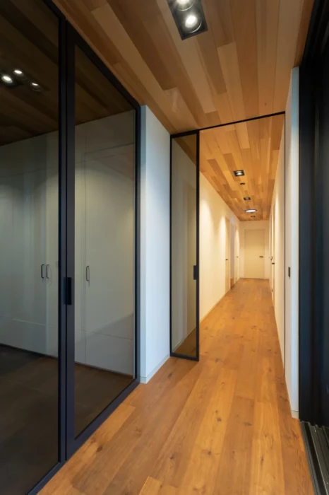 Pivotové dveře AXON