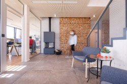 Administrativní budova Partizánske, Prodesi/ Domesi