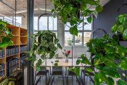 Zlínské kanceláře KHS, Studio COSMO