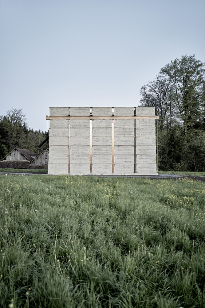 Podélný rastr - platformy, na nichž spočívají jednotlivé panely. (věž v Chamsu, Bolthauser Architekten a další)