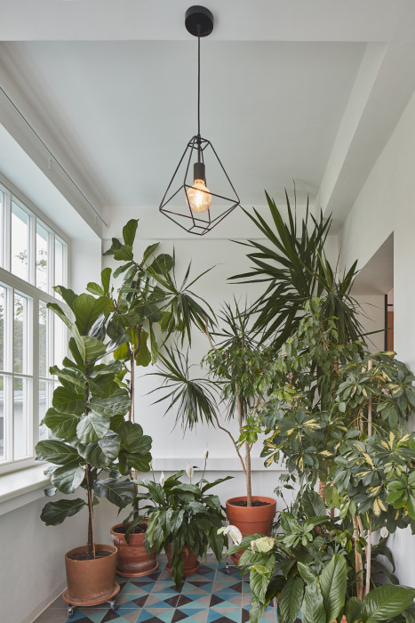 Vila s fontánou, Mjölk architekti