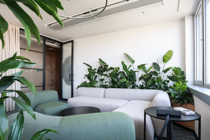 Jungle Interiors přináší zeleň na míru – od zelených stěn, atrií a fasád až po pronájem rostlin s profesionální péči.