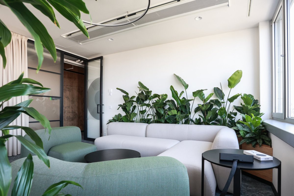 Jungle Interiors přináší zeleň na míru – od zelených stěn, atrií a fasád až po pronájem rostlin s profesionální péči.