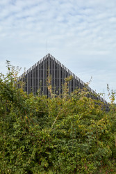 Latě a stromy, prázdninová abstrakce (Dům ve Vraném nad Vltavou, 0,5 Studio)