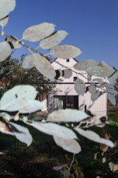 Dům před dvůr, DDAANN