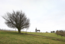 Reading Between The Lines, Gijs Van Vaerenbergh