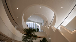 Administrativní budova BNP Paribas Fortis Montagne du Parc v Bruselu