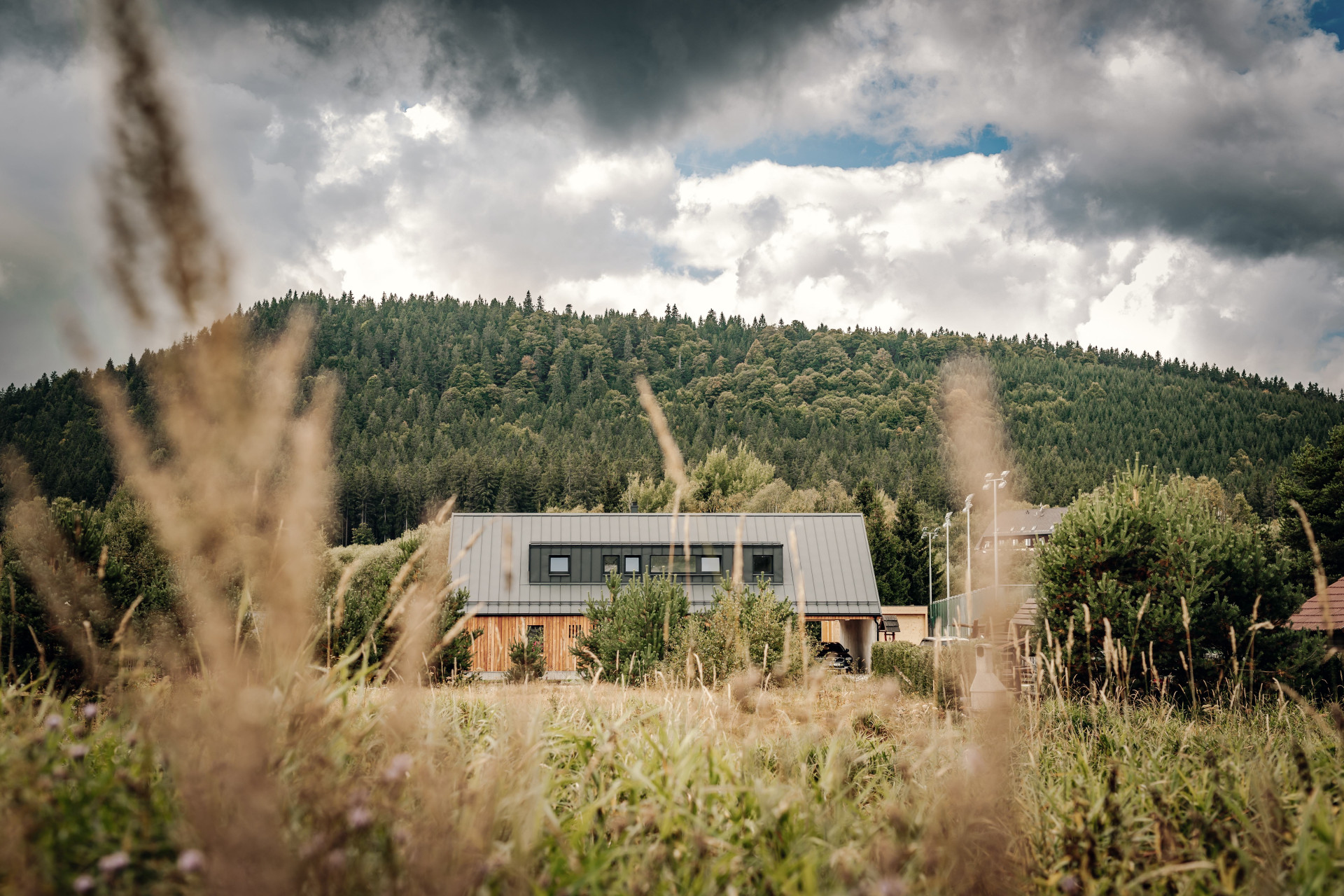 Harazim Karel Architektura - RD Borová Lada: Dům se nachází jihočeské obci na hranici Národního parku Šumava