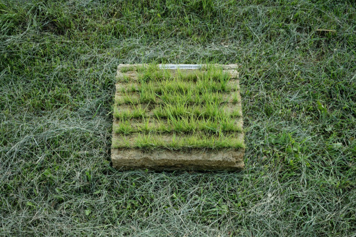 Fránek architects, Experimentální objekt ve Slavkově u Brna, foto