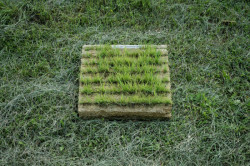 Fránek architects, Experimentální objekt ve Slavkově u Brna, foto