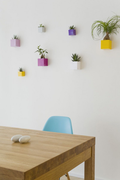 DESIGNIST, Byt Žižkov – foto