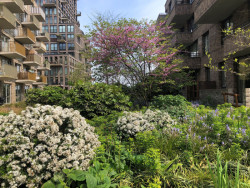 5. prosince proběhne v kině Světozor dvojpřednáška s názvem Ozeleňování měst s amsterdamským krajinářským architektem Tonem Mullerem a tuzemským krajinářským architektem Štěpánem Špoulou.