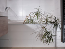 Kniha "Plantlovers. Neviditelná botanika městského prostředí" se věnuje rostlinám a udržitelnosti