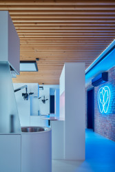 Dentální klinika myTREEDK v Opavě, QARTA Architektura / David Wittassek