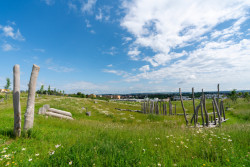 ...pak se luční porost poseče.