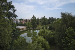 Restaurace v Českých Budějovicích od atelieru 111 architekti