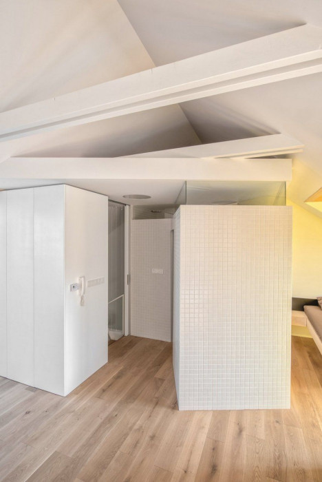 masparti, Podkrovní byt na třídě Míru – foto