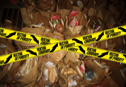 Pedagogové a studenti se budou zabývat cenově dostupným bydlením, komunitním bydlením, strategickým urbanismem, vzděláváním, zkoumáním právního systému nebo analyzováním toho, jak je v naší společnosti chudoba vnímána.