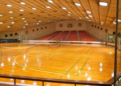 Sportovní hala v Japonsku, Kenzo Tange