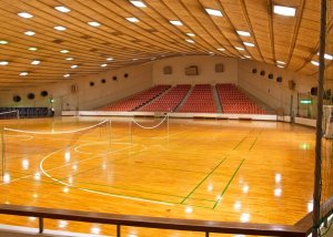 Sportovní hala v Japonsku, Kenzo Tange